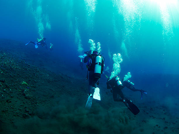 istock Scuba diver with coral 513475554
