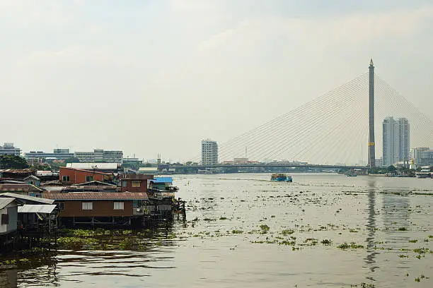 Photo of Polluted river Phraya, Bangkok, and it diverse environment.
