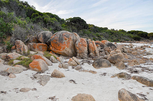 istock Orange Granite and Coastal Dunes: Bunker Bay 513478390