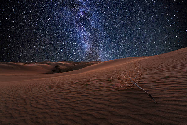 wüste gobi nacht unter dem sternenhimmel. - gobi desert stock-fotos und bilder
