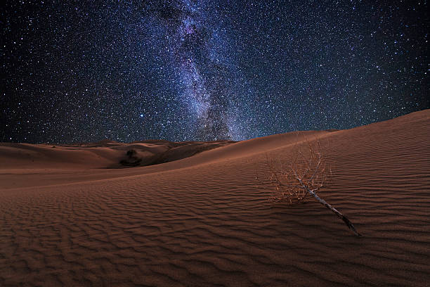 desierto de gobi noche bajo el cielo estrellado cielo. - gobi desert fotografías e imágenes de stock