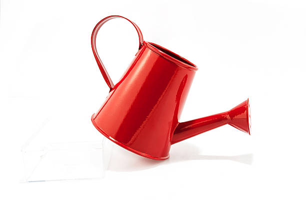 istock Red watering can  isolated on white background. 513487368
