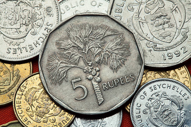 istock Coins of the Seychelles. Coconut palm (Cocos nucifera) 513488040
