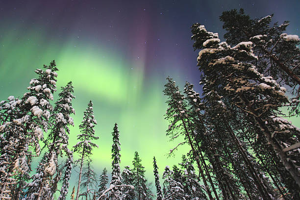 istock Massive vibrant Aurora Borealis Northern Lights in Lapland, Norway 513491662