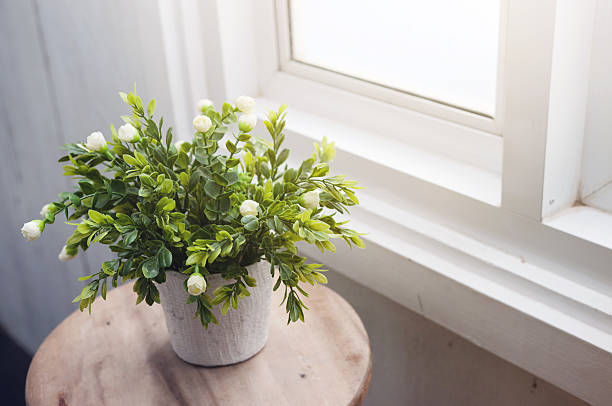 White flower in white flowerpot on wood table.