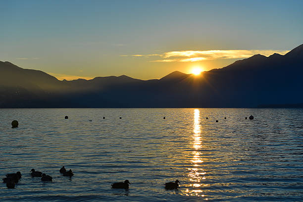 istock sunset over the lake with ducks 513491878