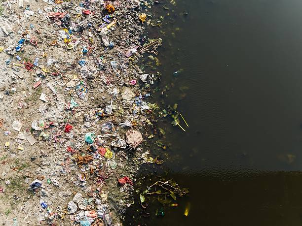 images of yamuna river pollution
