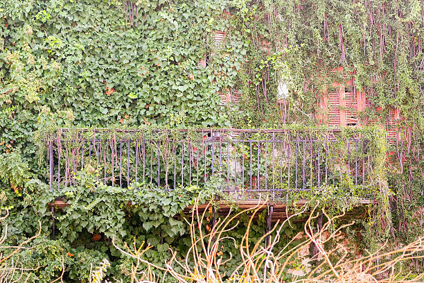 Balcony full of flowers.