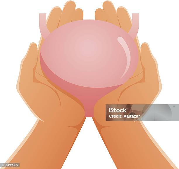 Hands Holding Bladder Stock Illustration - Download Image Now - Bladder, Urine, Anatomy