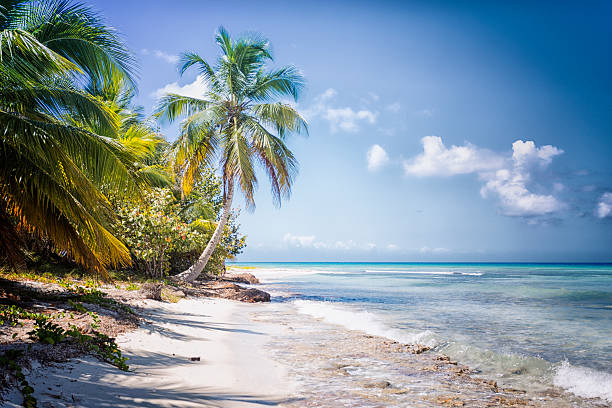 vista de um praia na ilha da república dominicana - long bay imagens e fotografias de stock