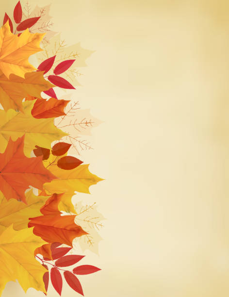 istock Retro autumn background with colorful leaves. Vector illustratio 513502265