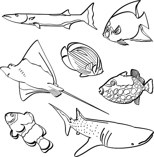 Fishes Collection vector art illustration