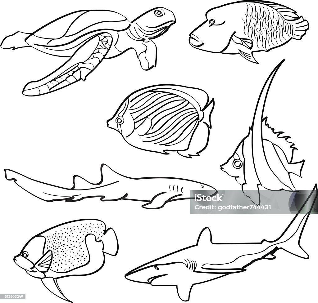 Fishes Collection A set of sketching different types of fish. It contains hi-res JPG, PDF and Illustrator 9 files. Black And White stock vector
