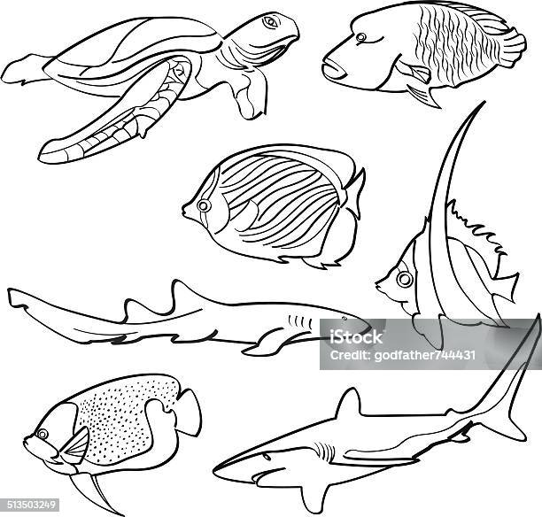Fishes Collection Stock Illustration - Download Image Now - Black And White, Shark, Animal