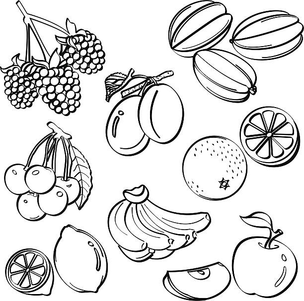 Fruit Set vector art illustration