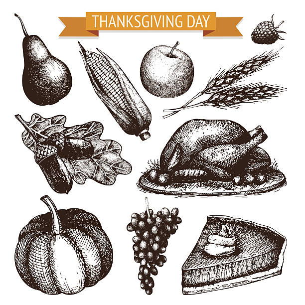 ilustraciones, imágenes clip art, dibujos animados e iconos de stock de conjunto vintage turquía día boceto. - portion apple food pattern