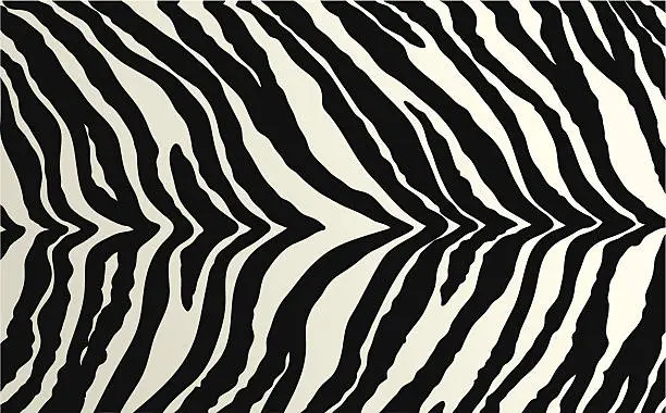 Vector illustration of Seamless tiling zebra animal print patterns