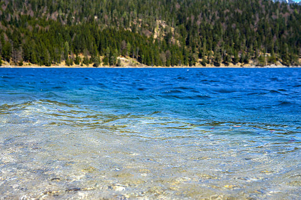 Umgebung-blaue Wasser mit Bäumen im Hintergrund – Foto