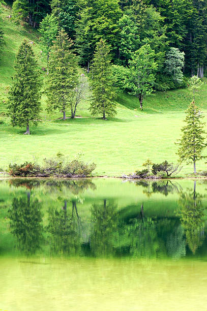 Landschaft mit grünen Bäumen und reflection lake – Foto