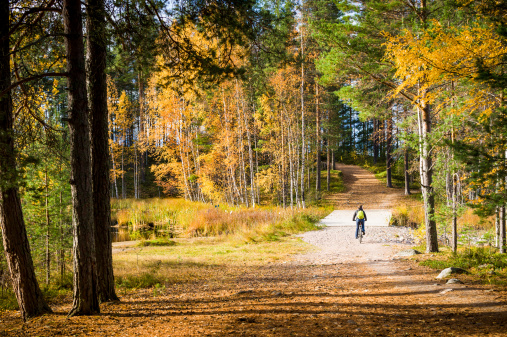 Woman riding bicycle at colorful autumn park