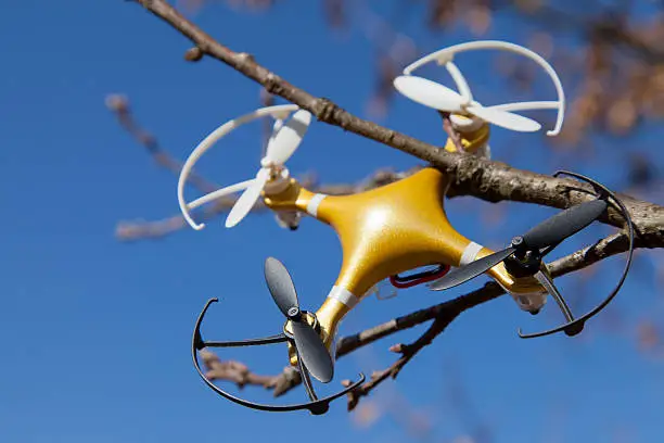 Drone quadcopter accident scene, DRONE Quadrocopter crashed on tree in city park. space for text