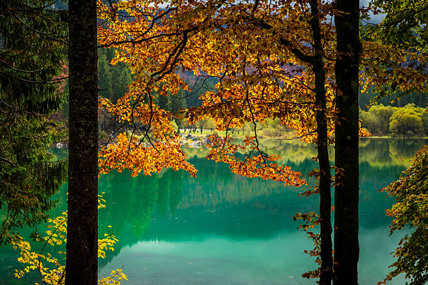 istock Autumn morning in the alps 513535236