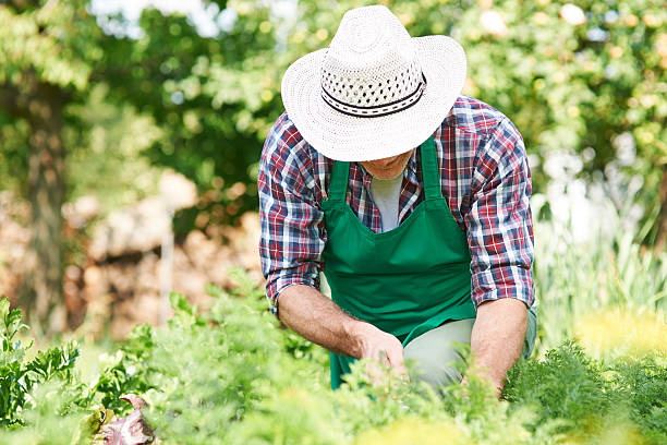 istock Hard work of man in garden 513535545