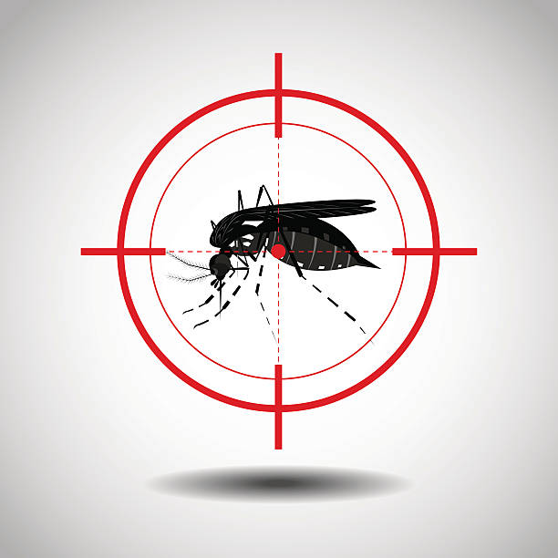 illustrazioni stock, clip art, cartoni animati e icone di tendenza di uccidere la zanzara - malaria parasite