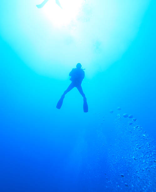 istock Silhouette of diver 513537052