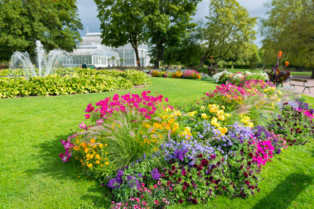 bellissimo parco colorato con fiori e una fontana - fountain landscaped ornamental garden flower bed foto e immagini stock