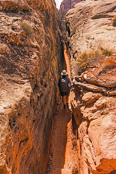 istock Hiking in a  Narrow Canyon Trail 513544552