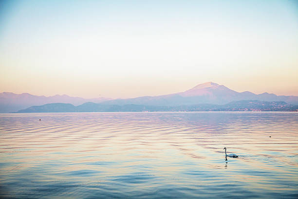 peacefull lago - peacefull - fotografias e filmes do acervo