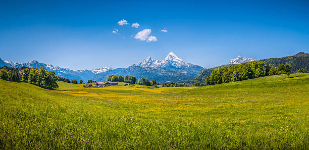 idyllische landschaft der alpen mit grünen wiesen und blumen - european alps germany landscaped spring stock-fotos und bilder