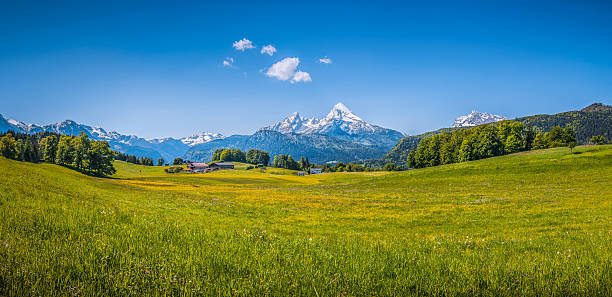 paisaje idílico en los alpes con verde y flores meadows - european alps swiss culture switzerland mountain fotografías e imágenes de stock