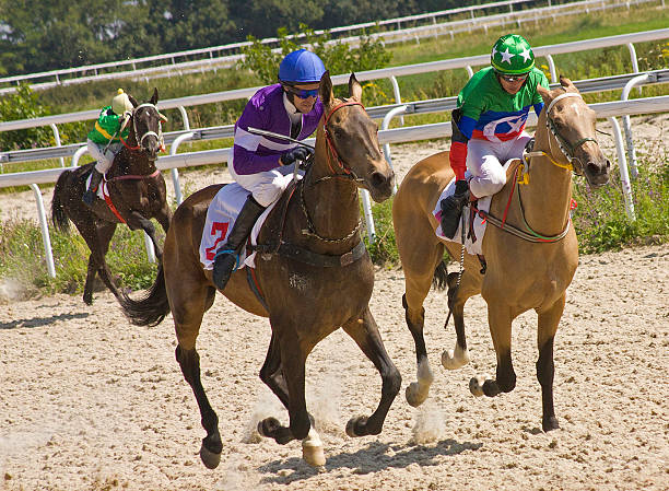istock Finish horse racing 513549658