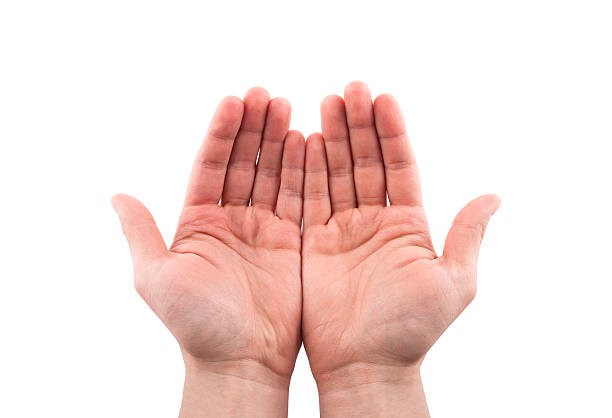 istock Open hands. Holding, giving, showing concept. Clipping path included. 513549816