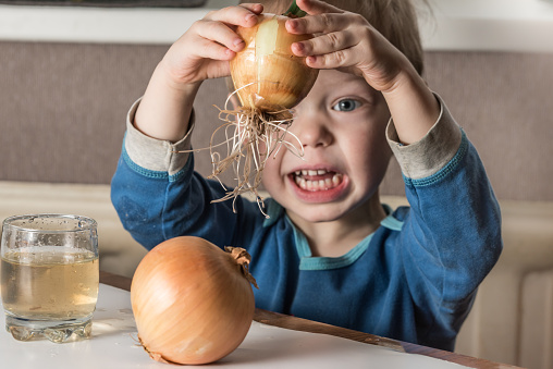 Blonde child aged 2-3 years old playing with green onion germinating onion, which is on the table.Blonde child aged 2-3 years old playing with green onion germinating onion, which is on the table.