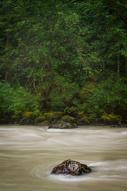 rivière nooksack - north cascades national park cascade range mt baker waterfall photos et images de collection