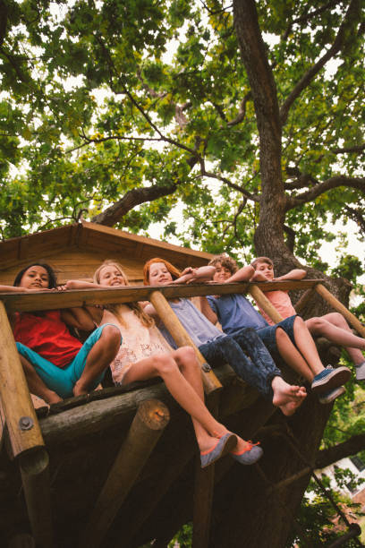 istock Children sitting on edge of treehouse in green leafed tree 513555330