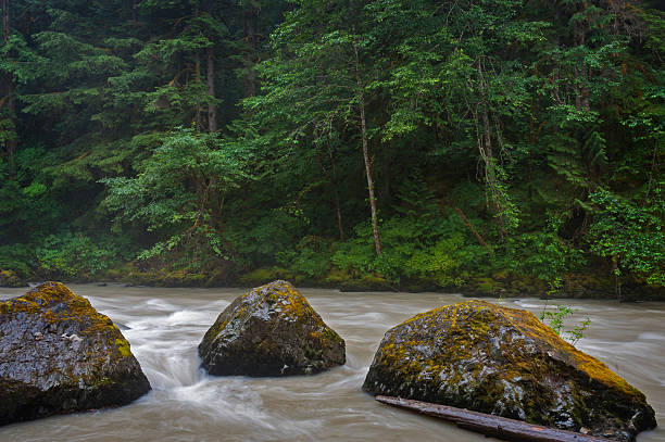 rivière nooksack - north cascades national park cascade range mt baker waterfall photos et images de collection