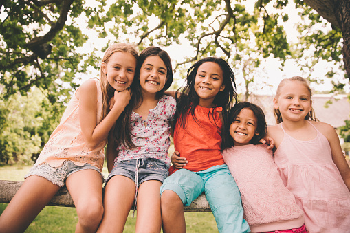 Little girls of mixed racial groups sitting on a wooden fence in a park on a summer day smiling at the camera