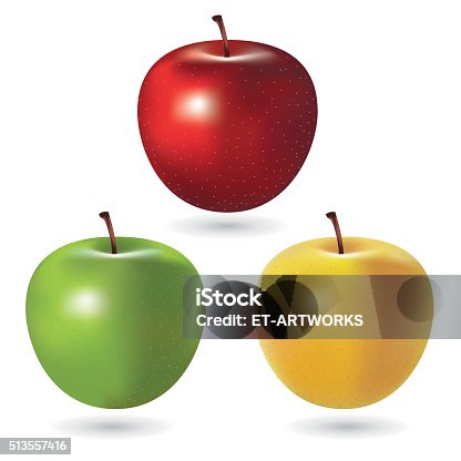 istock Vector Apples 513557416