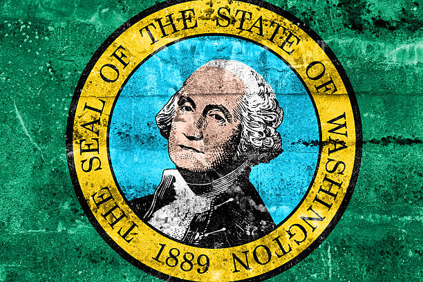 Washington State Flag painted on grunge wall