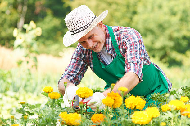 istock I'm proud from my garden 513567509