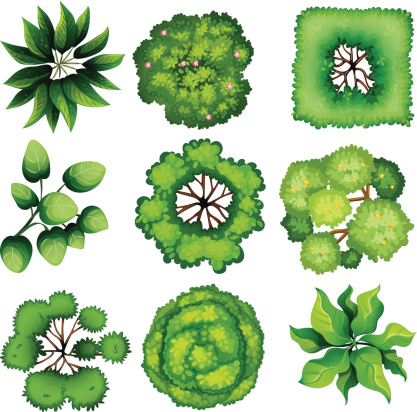 Illustration of the topview of leaves on a white background