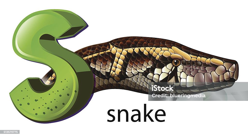 Letter S for snake Illustration of a letter S for snake on a white background Alphabet stock vector