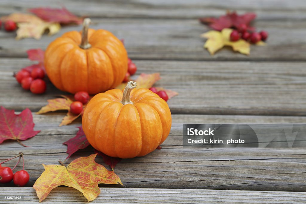 autumn background pumpkins Autumn Stock Photo
