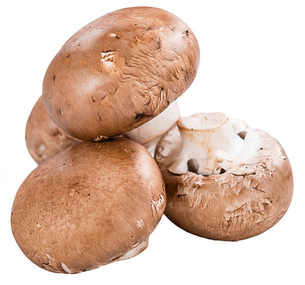 istock Fresh Mushrooms (selective focus) isolated on white 513581110