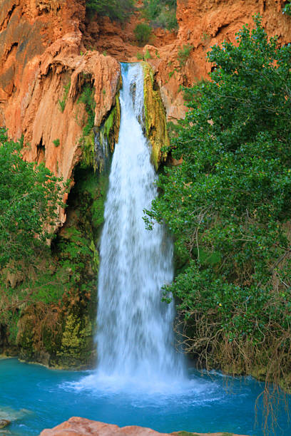 Havasu Falls Crystal blue water at Havasu Falls in the grand canyon, Havasupai, Arizona harasu canyon stock pictures, royalty-free photos & images