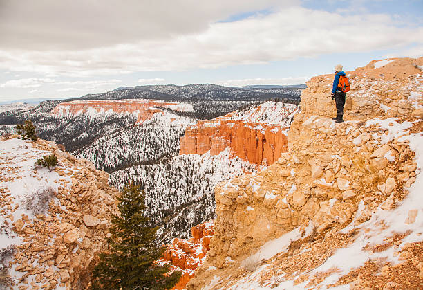 istock Hiker looking at snowy canyon view 513581498